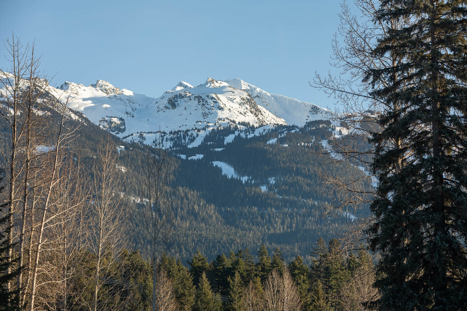 WHISTLER FAIRWAY RETREAT